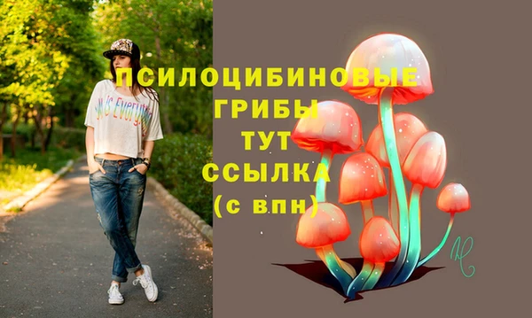 гидропоника Новозыбков