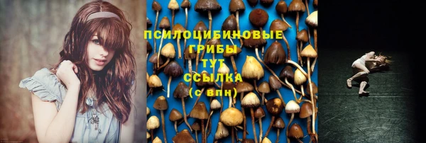PSILOCYBIN Новодвинск