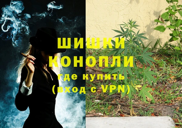 гидропоника Новозыбков