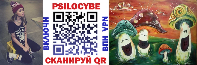 Купить где  Гулькевичи  Псилоцибиновые грибы ЛСД 